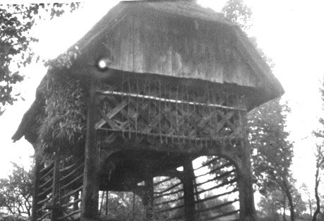 eika image
